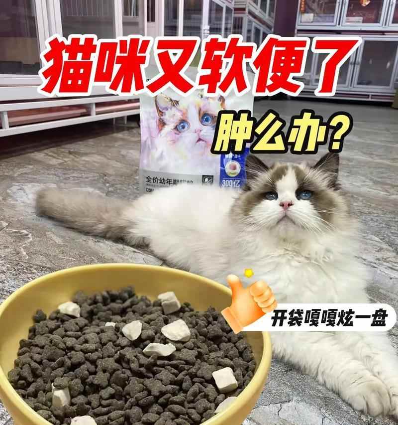 文章详情图片