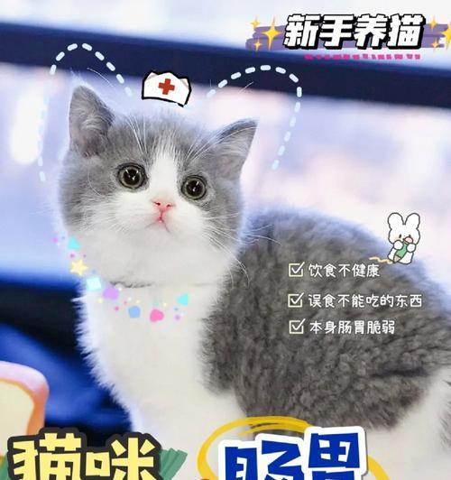 文章详情图片
