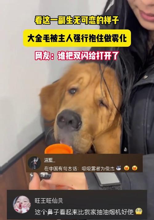 文章详情图片