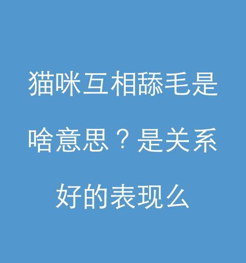 文章详情图片