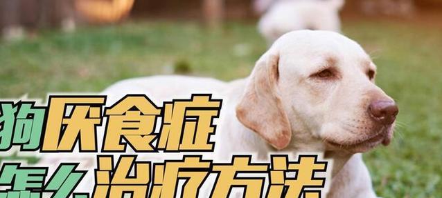 文章详情图片