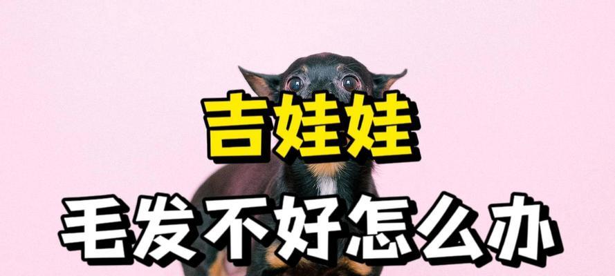文章详情图片