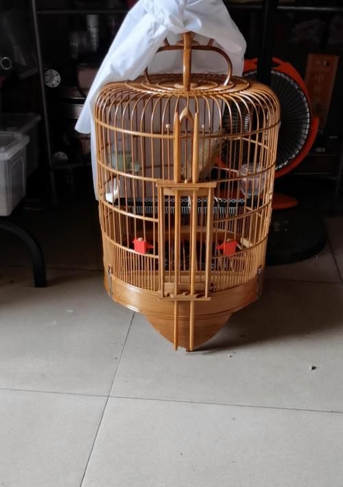 文章详情图片