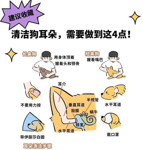 文章详情图片