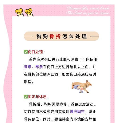 文章详情图片