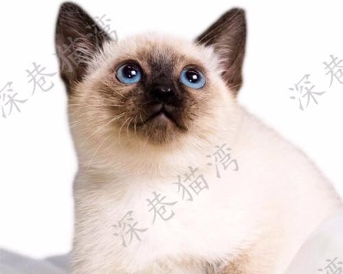 文章详情图片