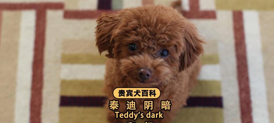 文章详情图片