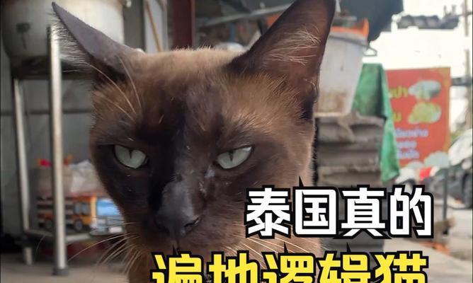 文章详情图片