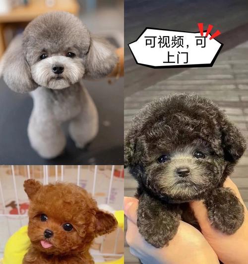 文章详情图片