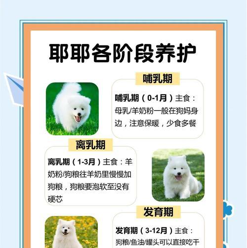文章详情图片