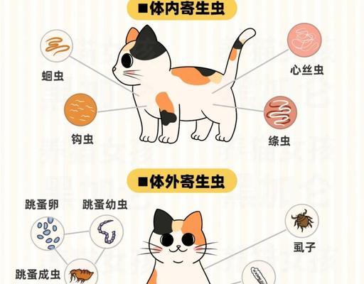 文章详情图片