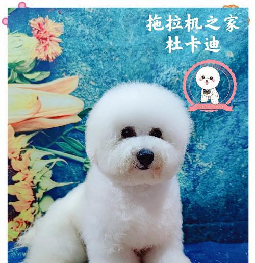 文章详情图片