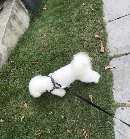 文章详情图片