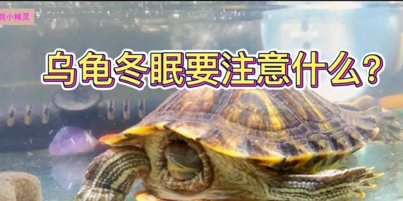文章详情图片