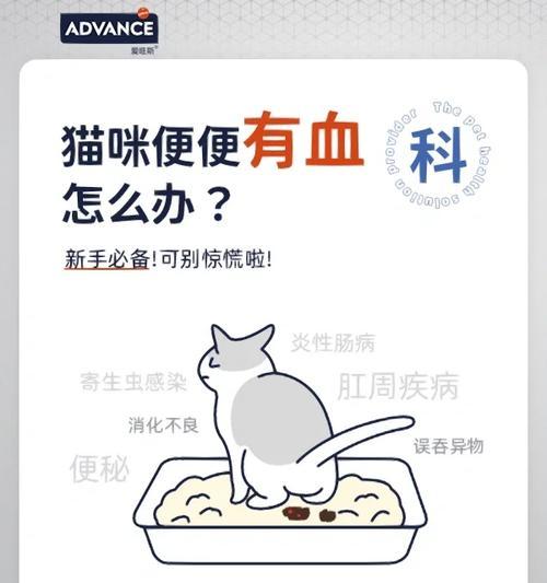 文章详情图片