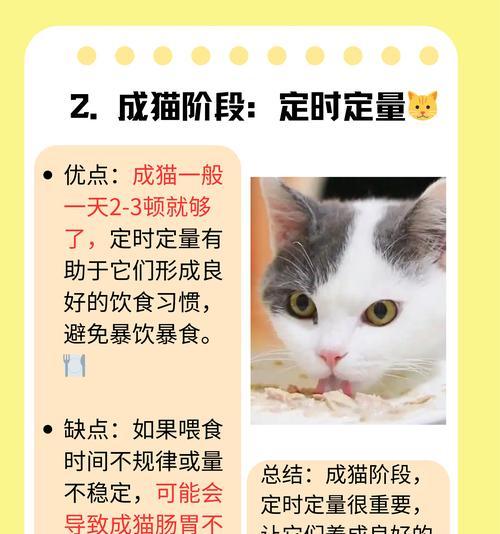 文章详情图片