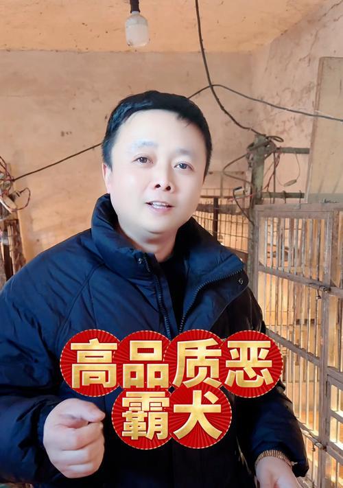 文章详情图片