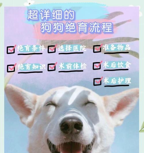 文章详情图片