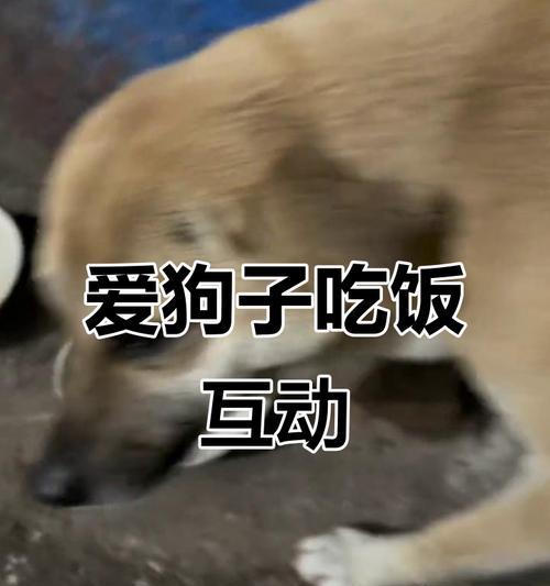 文章详情图片
