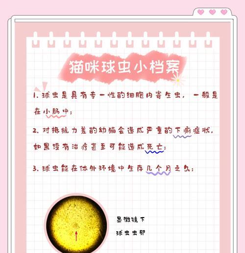 文章详情图片