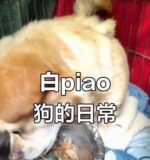 文章详情图片
