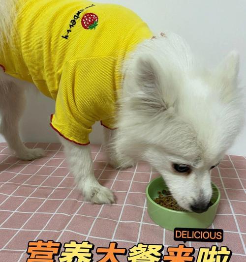 文章详情图片