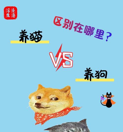文章详情图片