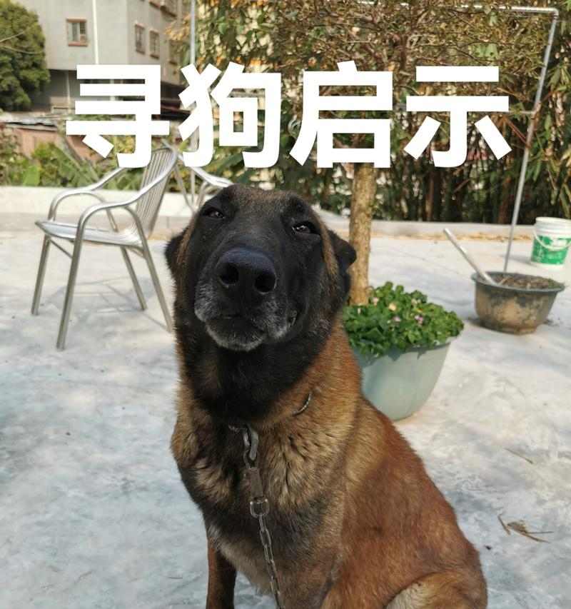 文章详情图片