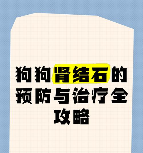 文章详情图片