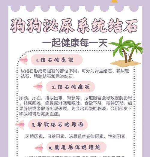 文章详情图片