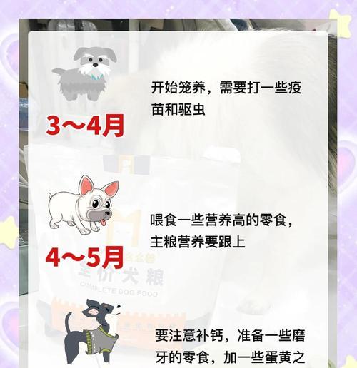 文章详情图片