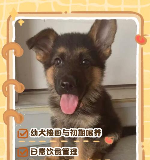 文章详情图片