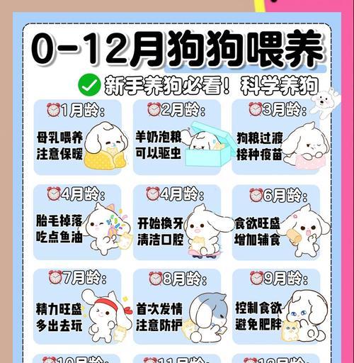 文章详情图片