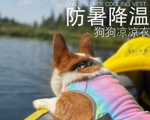文章详情图片