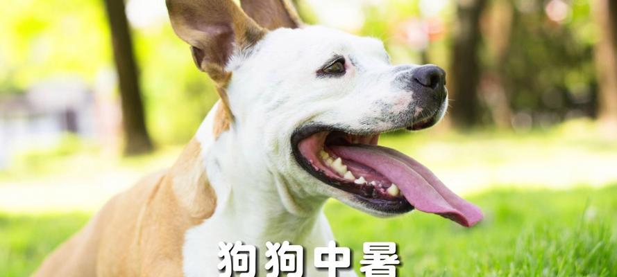 文章详情图片