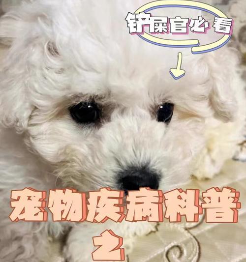 文章详情图片