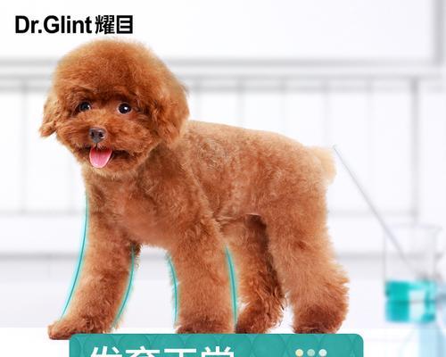 文章详情图片