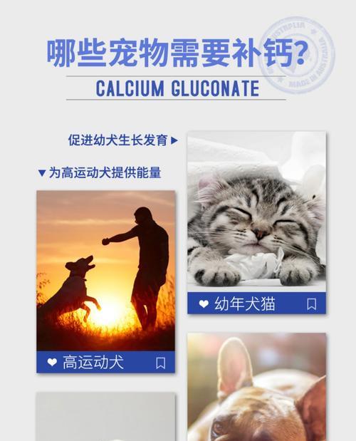 文章详情图片