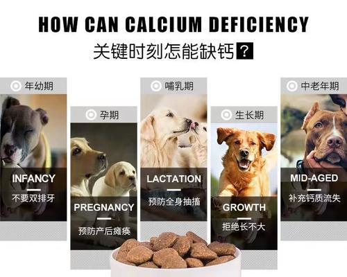 文章详情图片