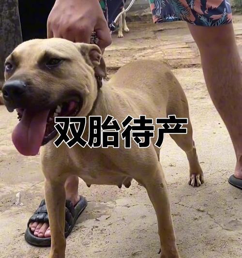 文章详情图片