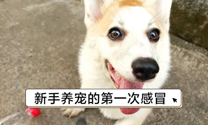 文章详情图片