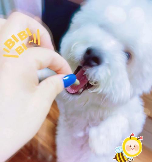 文章详情图片