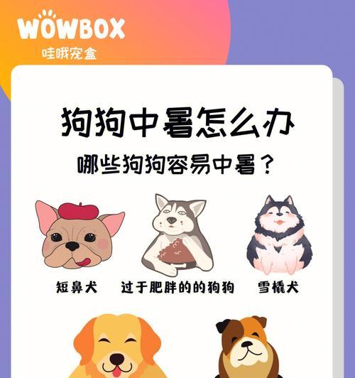 文章详情图片