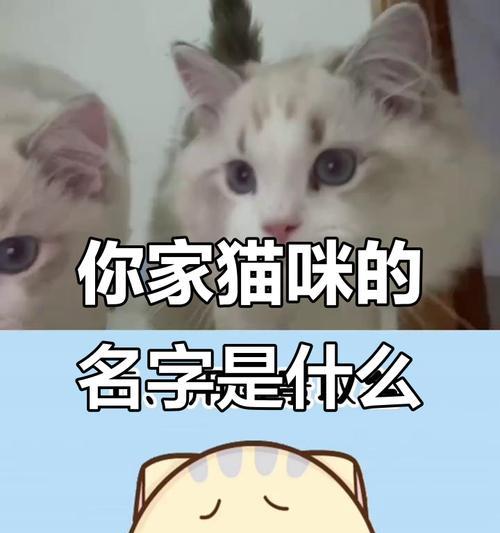 文章详情图片