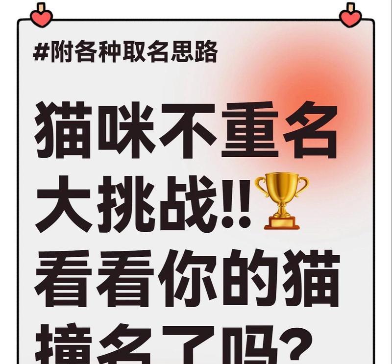 文章详情图片