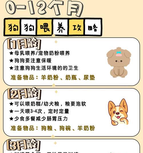 文章详情图片