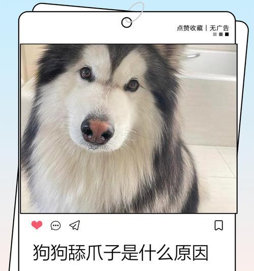文章详情图片