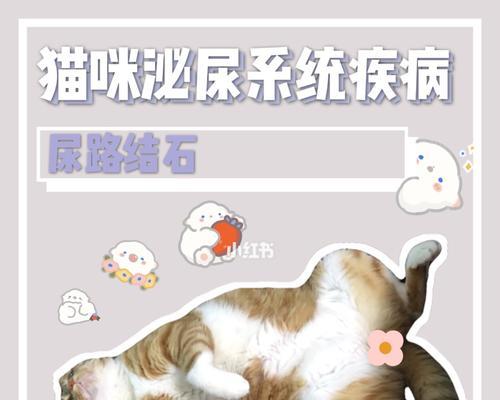 文章详情图片