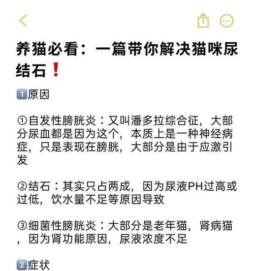 文章详情图片