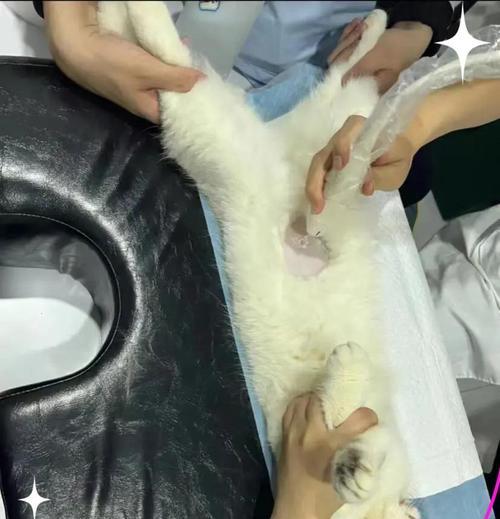 文章详情图片